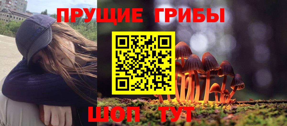 Ставрополь  Галлюциногенные грибы Magic Shrooms  Вход с VPN  Псилоцибиновые грибы Psilocybine cubensis 