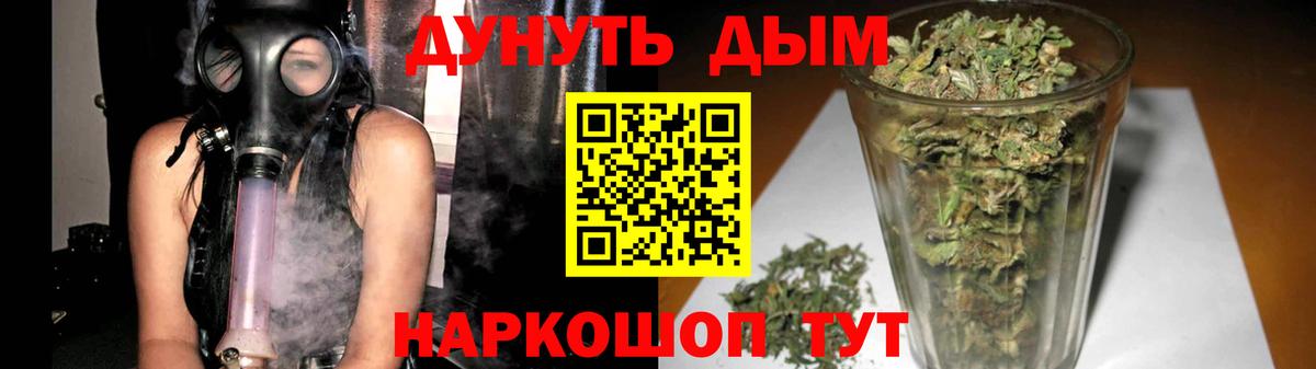 Бошки марихуана конопля Ставрополь